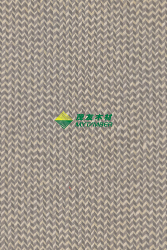 幻彩箭羽4011