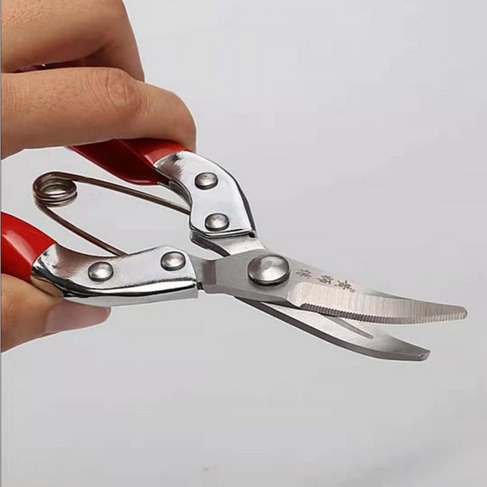 厂家直销红色稀果园艺花枝树枝采摘果剪园林剪刀修枝剪 果枝剪