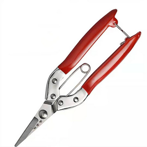 厂家直销红色稀果园艺花枝树枝采摘果剪园林剪刀修枝剪 果枝剪