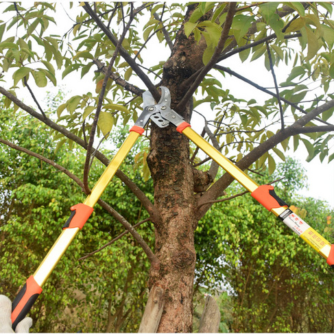 进口SK5钢 强力粗枝剪大力剪刀剪枝伸缩高枝剪果树园林园艺大剪刀