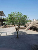 仿真綠楓樹仿真樹