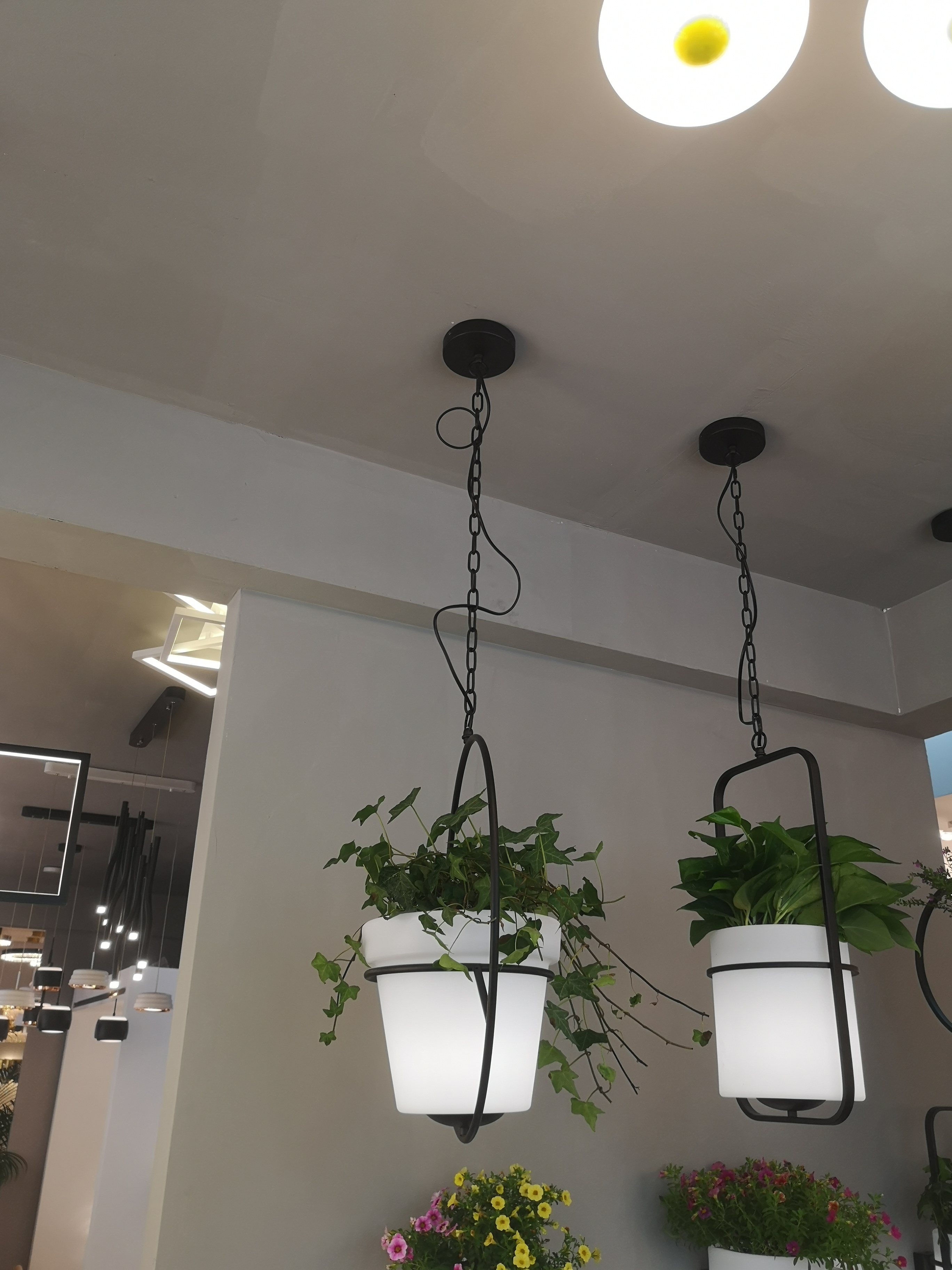 LED现代简约几何铁艺植物花盆吊灯