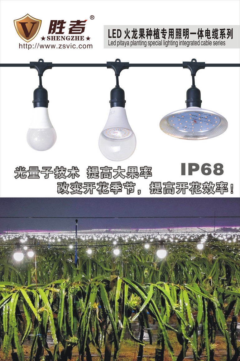 LED种植大棚植物生长灯