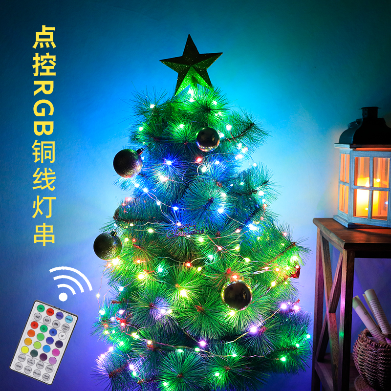 点控RGB七彩同步装饰景观圣诞树灯