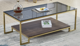 COFFEE TABLE TL-AS83G