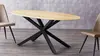 DT-520  Modern Creative Oval Dining Table