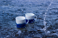 山巒杯