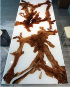 樹(shù)脂流水大板桌龍眼木