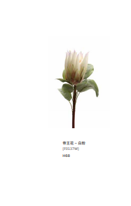 帝王花 - 白粉 仿真花