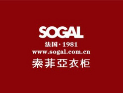 Wang Bing, Executive President of Sogal---Secret of Sogal's Digital Road