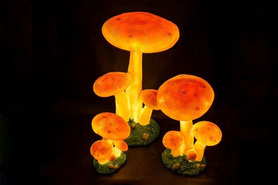 蘑菇造型落地灯三组