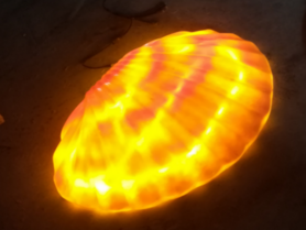 大贝壳造型落地灯