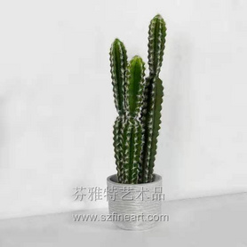 盆栽