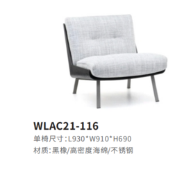 WLAC21-116休闲椅