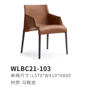 WLBC21-103餐椅