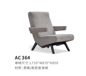 AC364休闲椅