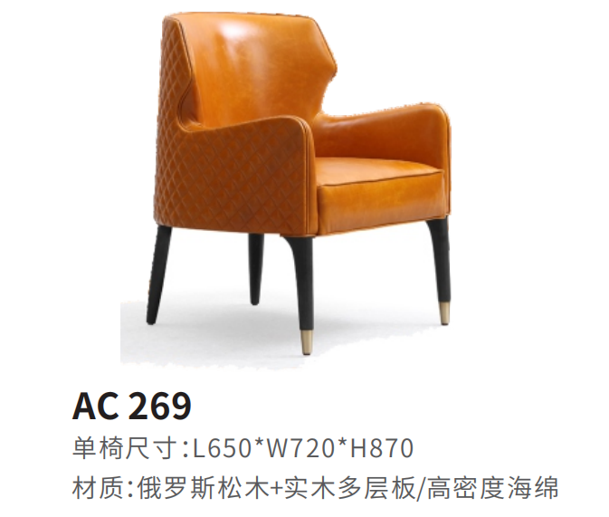 AC269休闲椅