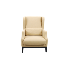 现代极简单人沙发-FL9118