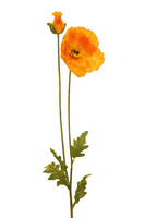家居裝飾仿真花干花