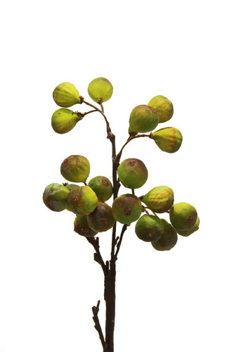 家居裝飾仿真花干花