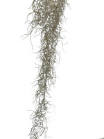 家居裝飾仿真花干花