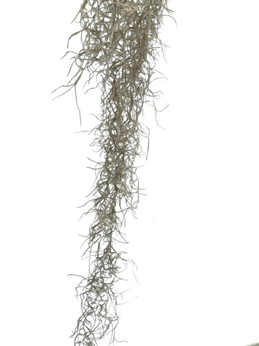 家居裝飾仿真花干花