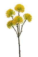 家居裝飾仿真花干花