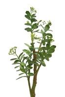 家居裝飾仿真花干花