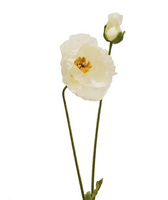 家居裝飾仿真花干花