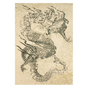 美國(guó)進(jìn)口防塵纖維地毯NSCP-KC009-160Willow Grey