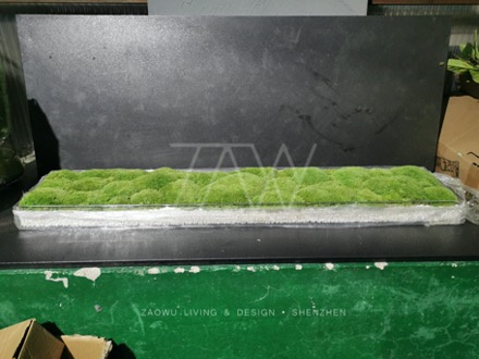 大型永生苔藓景观