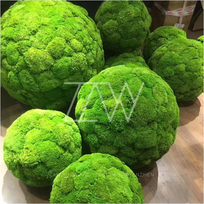 大型永生苔藓景观