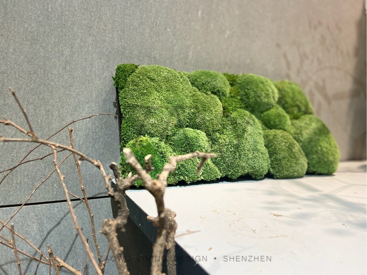 大型永生苔藓景观