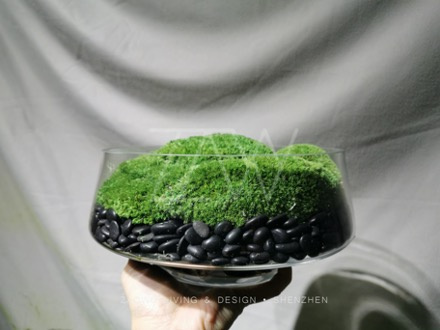 永生苔藓微景观