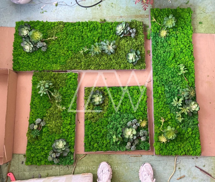 大型永生苔藓景观