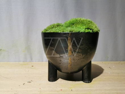 永生苔藓微景观