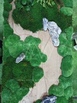 大型永生苔蘚景觀
