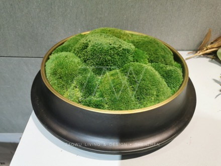 永生苔藓微景观
