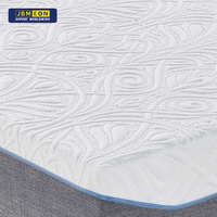 Spring Mattress - P21M013