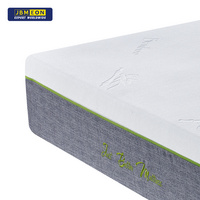 Spring Mattress - P21M014