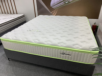 一漣幽夢薄荷功能面料彈簧床墊
