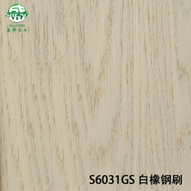 S6031GS白橡钢刷