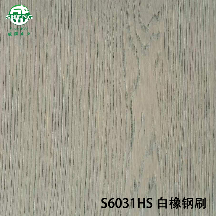 S6031HS白橡钢刷