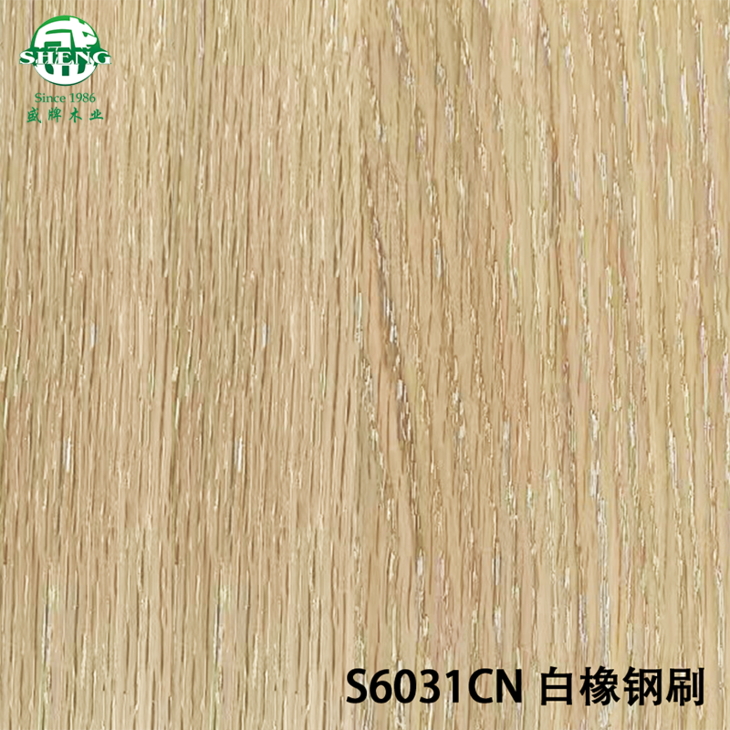 S6031CN白橡钢刷