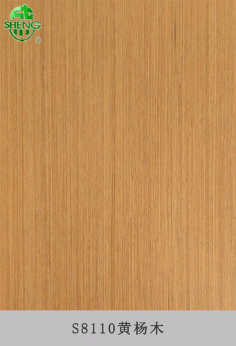 S8110黄杨木
