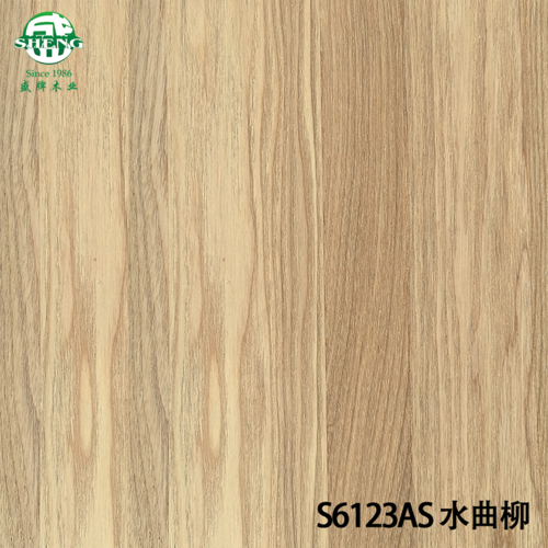 S6123AS水曲柳