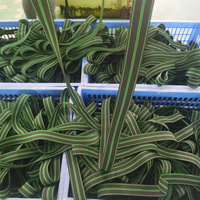 50mm黑色綠條紋松緊帶沙發(fā)丙綸織帶沙發(fā)座筋