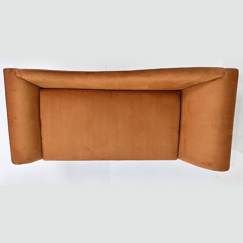 Light luxury 2-seater sofa Modern simple household soft chaise longue