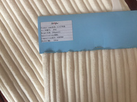 2.5滌錦子母條燈芯絨