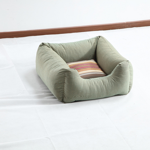 cushion